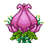 Plantera