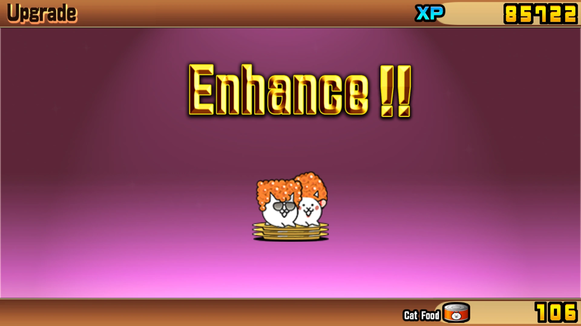 Roe cat has returned. | Fandom