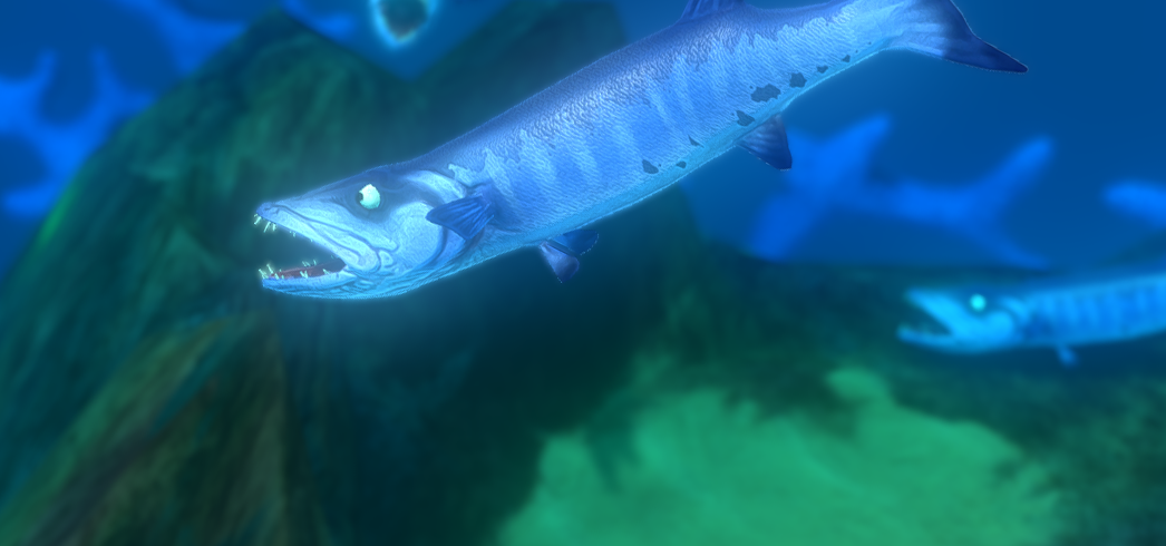 Barracuda, Feed and Grow Fish Wikia