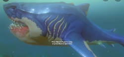 Megalodon, Feed and Grow Fish Wikia