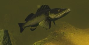 Perch, Feed and Grow Fish Wikia