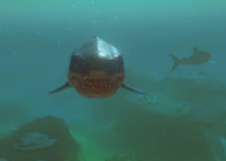 Megalodon, Feed and Grow Fish Wikia