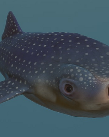 Feed and grow fish sperm whale stats