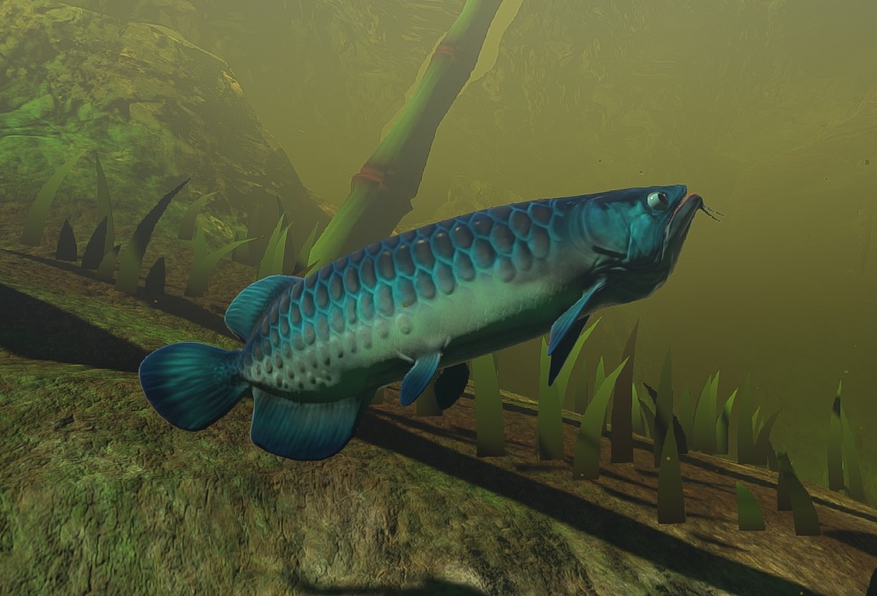 Arowana, Feed and Grow Fish Wikia