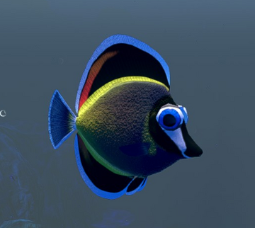 Tang fish 2024