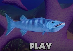 Barracuda, Feed and Grow Fish Wikia