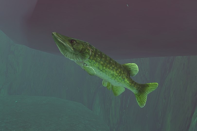 Feed And Grow Fish : Pike 