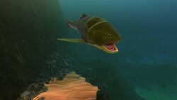 Titanichthys, Feed and Grow Fish Wikia