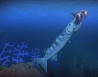 Barracuda, Feed and Grow Fish Wikia