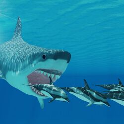 Megalodon, Feed and Grow Fish Wikia