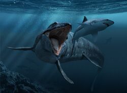 Feed and grow fish: Prognathodon by TrevorHendersonFan8 on DeviantArt