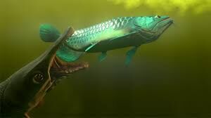 Alligator Gar, Feed and Grow Fish Wikia