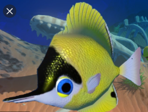 Butterfly Fish, Feed and Grow Fish Wikia