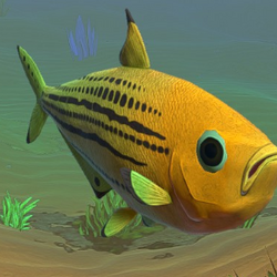 Download and play Fish feed and Grow - Feed fish and Grow Game