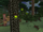 Twilight Forest Biomes