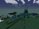 Hydra