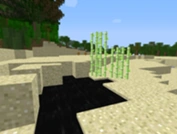 Sugar cane can spawn near next to oil pools; this may be a bug.