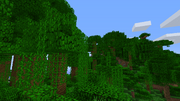 Jungletrees