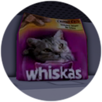 When should you feed your cat shop