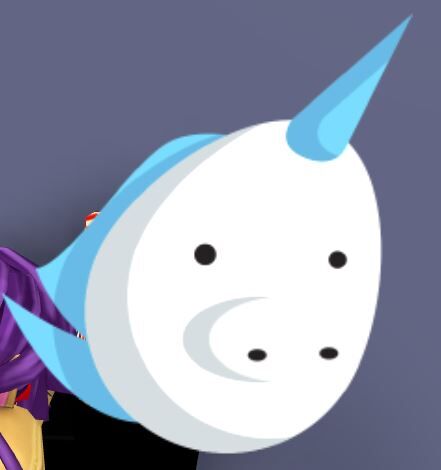 Unicorn Feed Your Pets Roblox Wiki Fandom - how to get unicorn egg roblox