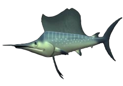 Orca the Marlin | Feeding Frenzy Wiki | Fandom