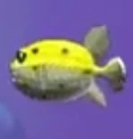 Fish | Feeding Frenzy Wiki | Fandom