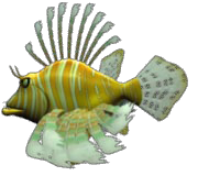game frenzy fish game frenzy fish