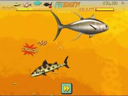Feeding sales frenzy 3