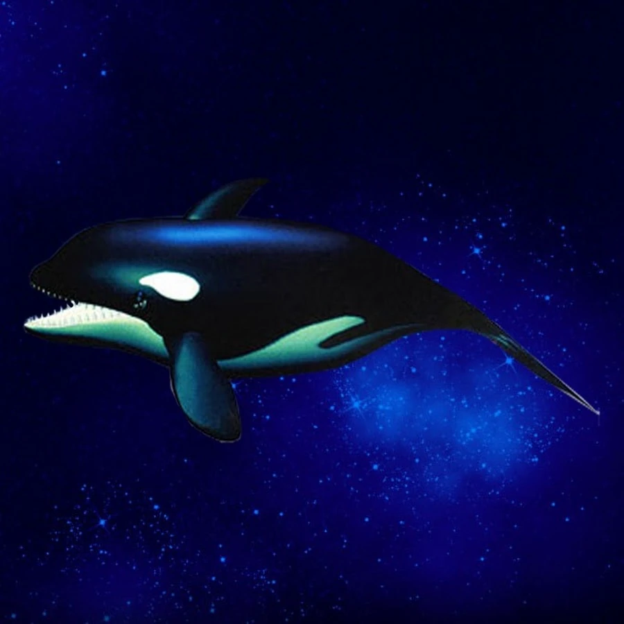 YouTuber | Feeding Frenzy Mods Wiki | Fandom