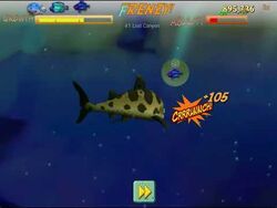 Feeding frenzy deals 3