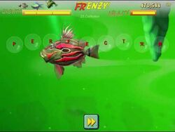 Feeding frenzy deals 3