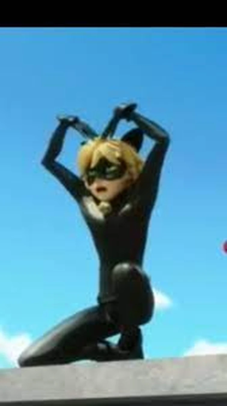 Put Funny Pictures Of Cat Noir On This Post Fandom