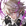 Corrin Bloodbound Beast Face FC