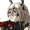 Thrasir Omnicidal Witch Face FC.webp