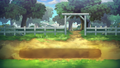 Field BG.webp