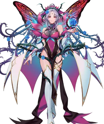 Plumeria Rapturous Dream Face