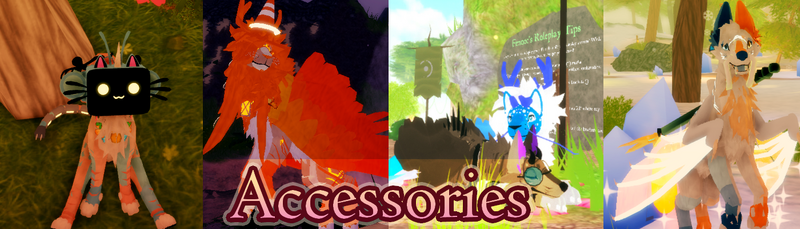 Accessory, Roblox Wiki