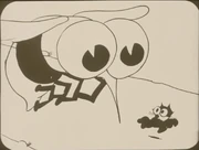 a picture of the 35mm print, courtesy of thunderbean.