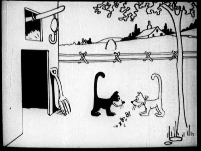 Feline Follies