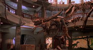 Jurassic-park-movie-screencaps.com-13851