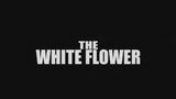 The White Flower title card