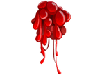 Coagulated Sap