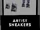 Artist Sneakers