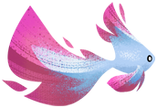 Carnation Koi