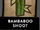 Bambaboo Shoot