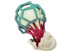 Nerve Husk