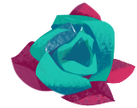 Aquarion Rose