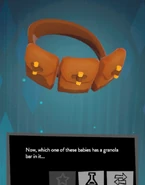 The item as shown in the player inventory.