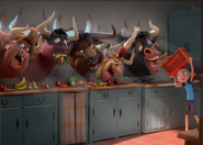 Bulls eating carrots