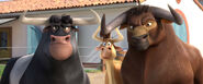 Valiente and the gang watching Ferdinand